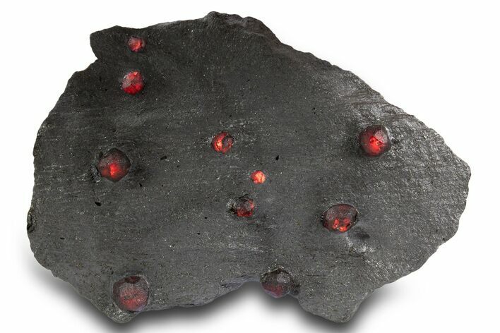 Plate of Ten Red Embers Garnets in Graphite - Massachusetts #301202